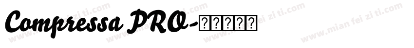 Compressa PRO字体转换